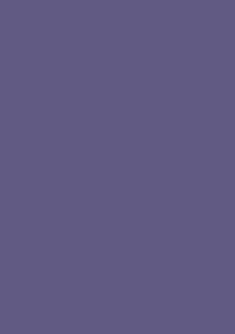U430 ST9 Violett